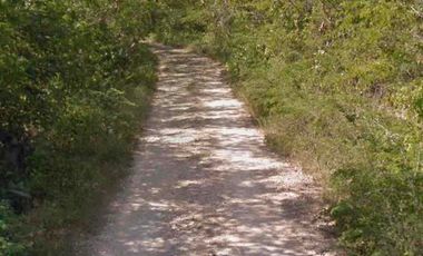 Se Vende 42 Hectáreas Hocoba