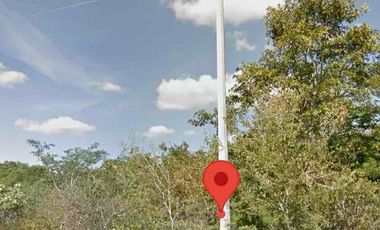 Se Vende 42 Hectáreas Hocoba