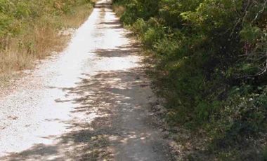 Se Vende 42 Hectáreas Hocoba