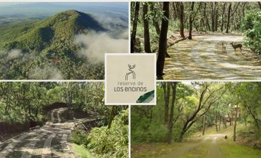 Hermosa Casa en el exclusivo Residencial Reserva de Los Encinos