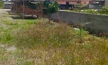 Resto Luas dgn Gazebo, R. Meeting Bonus Kolam Renang di Polanharjo Klaten