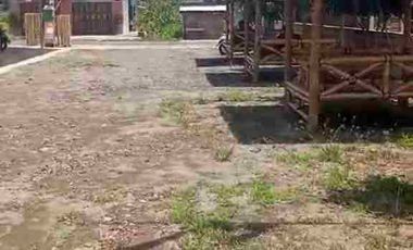 Resto Luas dgn Gazebo, R. Meeting Bonus Kolam Renang di Polanharjo Klaten