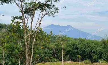 Jual Villa Kayu Aesthetic Murah Siap Huni Sertipikat di Puncak Bogor