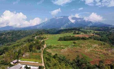 Jual Villa Kayu Aesthetic Murah Siap Huni Sertipikat di Puncak Bogor