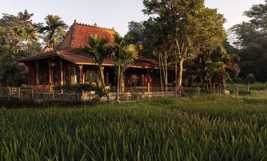 FREEHOLD | COLONIAL-STYLE VILLA WITH JUNGLE AND RICE FIELD VIEWS - UBUD TEGALLALANG