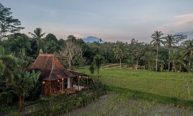 FREEHOLD | COLONIAL-STYLE VILLA WITH JUNGLE AND RICE FIELD VIEWS - UBUD TEGALLALANG