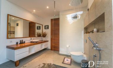 FREEHOLD LUXURY VILLA WITH A LARGE GARDEN IN BABAKAN-CANGGU