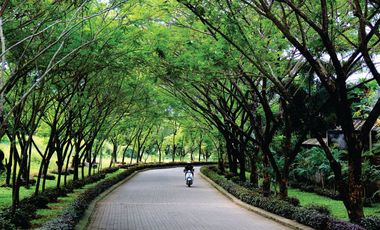 Dijual Rumah 2 Lantai di Cluster Bali Regency Bukit Baruga Makassar – 3 Kamar Tidur, Lingkungan Asri, Hanya 1,25 M