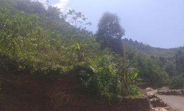 Di jual sebidang tanah kosong terletak di jalan Raya Cikotok Neglasari Lebak Banten