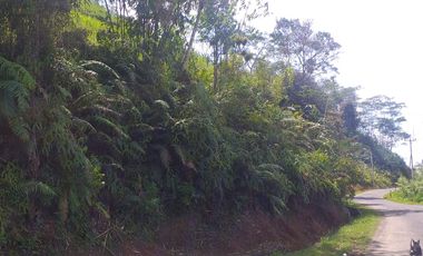 Di jual sebidang tanah kosong terletak di jalan Raya Cikotok Neglasari Lebak Banten