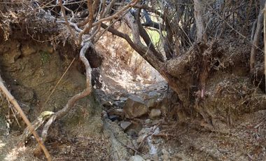 Venta Terreno sector El Yeco, Algarrobo