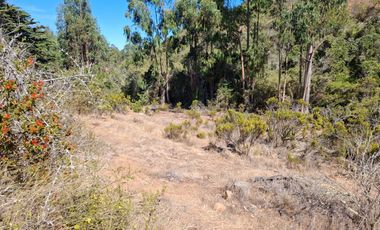 Venta Terreno sector El Yeco, Algarrobo