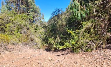 Venta Terreno sector El Yeco, Algarrobo