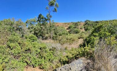 Venta Terreno sector El Yeco, Algarrobo