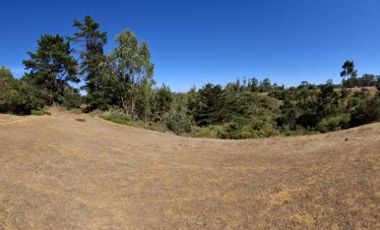 Venta Terreno sector El Yeco, Algarrobo