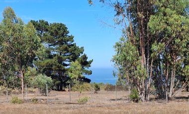 Venta Terreno sector El Yeco, Algarrobo