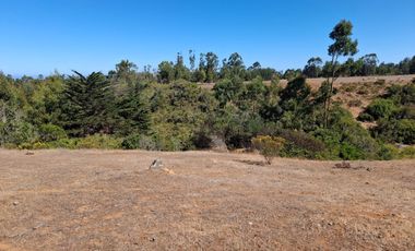 Venta Terreno sector El Yeco, Algarrobo