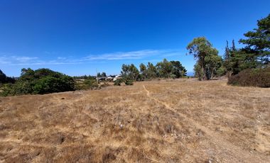 Venta Terreno sector El Yeco, Algarrobo