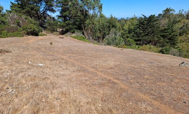 Venta Terreno sector El Yeco, Algarrobo