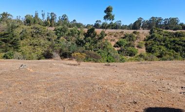 Venta Terreno sector El Yeco, Algarrobo