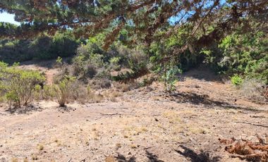 Venta Terreno sector El Yeco, Algarrobo