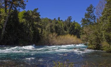 Se vende maravillosa parcela de 6.900 m² en el exclusivo loteo Bosque de Renovales, comuna de Panguipulli, Región de Los Ríos