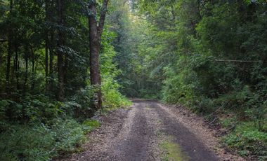 Se vende maravillosa parcela de 6.900 m² en el exclusivo loteo Bosque de Renovales, comuna de Panguipulli, Región de Los Ríos