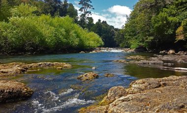 Se vende maravillosa parcela de 6.900 m² en el exclusivo loteo Bosque de Renovales, comuna de Panguipulli, Región de Los Ríos