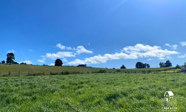 Parcelas en Linea Nueva, Puerto Varas