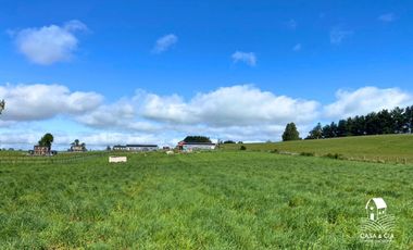 Parcelas en Linea Nueva, Puerto Varas