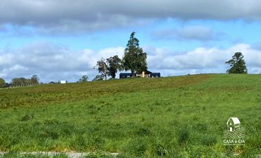 Parcelas en Linea Nueva, Puerto Varas