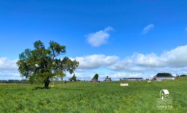 Parcelas en Linea Nueva, Puerto Varas