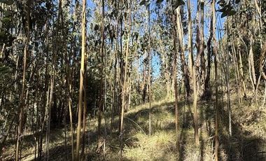 ¡ÚLTIMAS PARCELAS EN MATANZAS! DE 5.000 M² CON ROL PROPIO