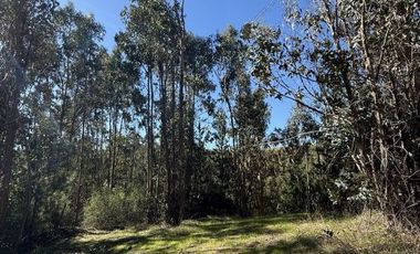 ¡ÚLTIMAS PARCELAS EN MATANZAS! DE 5.000 M² CON ROL PROPIO