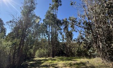 ¡ÚLTIMAS PARCELAS EN MATANZAS! DE 5.000 M² CON ROL PROPIO