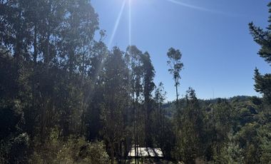 ¡ÚLTIMAS PARCELAS EN MATANZAS! DE 5.000 M² CON ROL PROPIO