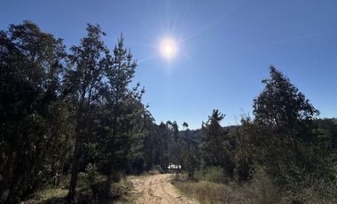 ¡ÚLTIMAS PARCELAS EN MATANZAS! DE 5.000 M² CON ROL PROPIO