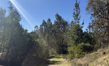 ¡ÚLTIMAS PARCELAS EN MATANZAS! DE 5.000 M² CON ROL PROPIO