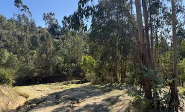 ¡ÚLTIMAS PARCELAS EN MATANZAS! DE 5.000 M² CON ROL PROPIO