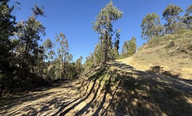 ¡ÚLTIMAS PARCELAS EN MATANZAS! DE 5.000 M² CON ROL PROPIO