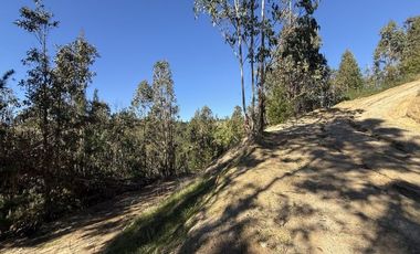 ¡ÚLTIMAS PARCELAS EN MATANZAS! DE 5.000 M² CON ROL PROPIO