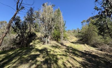 ¡ÚLTIMAS PARCELAS EN MATANZAS! DE 5.000 M² CON ROL PROPIO