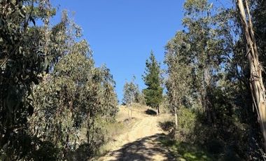 ¡ÚLTIMAS PARCELAS EN MATANZAS! DE 5.000 M² CON ROL PROPIO