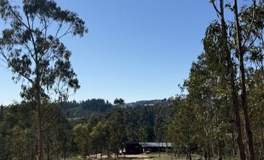 ¡ÚLTIMAS PARCELAS EN MATANZAS! DE 5.000 M² CON ROL PROPIO