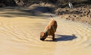 ¡ÚLTIMAS PARCELAS EN MATANZAS! DE 5.000 M² CON ROL PROPIO
