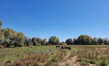 VENDO HERMOSA PARCELA DE 5.000 M2 EN COMUNA DE VILLA ALEGRE, TOTALMENTE SANEADA Y MUY CERCANA A CARRETERA 5 SUR