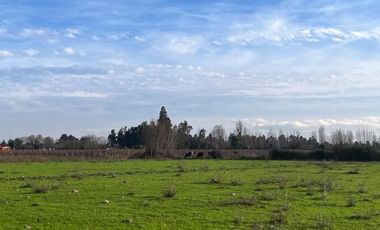 VENDO HERMOSA PARCELA DE 5.000 M2 EN COMUNA DE VILLA ALEGRE, TOTALMENTE SANEADA Y MUY CERCANA A CARRETERA 5 SUR