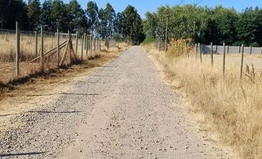 VENDO HERMOSA PARCELA DE 5.000 M2 EN TALCA A 10 KILOMETROS DE LA CARRETERA, CAMINO A SAN CLEMENTE