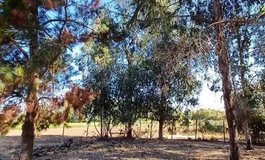 VENDO HERMOSA PARCELA DE 5.000 M2 EN TALCA A 10 KILOMETROS DE LA CARRETERA, CAMINO A SAN CLEMENTE