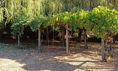 VENDO HERMOSA PARCELA DE 5.000 M2 EN TALCA A 10 KILOMETROS DE LA CARRETERA, CAMINO A SAN CLEMENTE